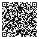QR код "Глобус"