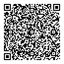 QR код "Пульсар"