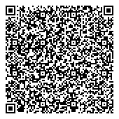 QR код "33 пингвина"