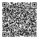 QR код "Рыжий кот"
