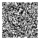 QR код "Q100"