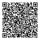 QR код "Matrix"