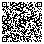 QR код "Стандарт-2010"