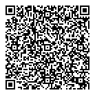 QR код "Dvides"