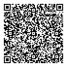 QR код "Platilkin"