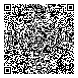 QR код "Стратегии учета"