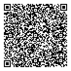 QR код "Professional"