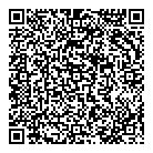 QR код "DNS"