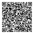 QR код "Викинг-2000"
