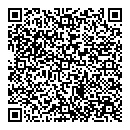QR код "Аладдин"