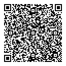 QR код "Спутник"