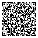 QR код "Мир"