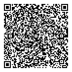 QR код "DLS"