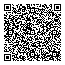 QR код "Луна"