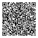 QR код "QIWI"
