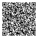 QR код "Жук"