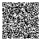 QR код "Девять звезд"