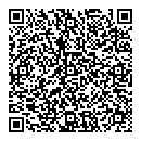 QR код "220 Вольт"