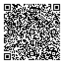 QR код "Лион"