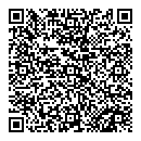 QR код "Айвенго light"
