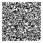 QR код "Фейерверки 03"