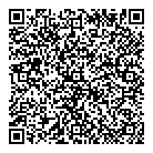 QR код "Аэлита-М"