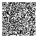 QR код "Детектор 03"