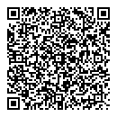 QR код "Дэмост"