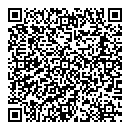 QR код "Вис-Аудит"