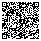 QR код "Викинг"