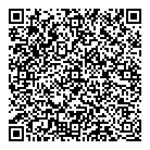 QR код "Глобус"