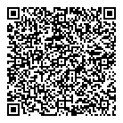 QR код "Глобус"