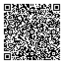 QR код "Венеция"