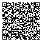 QR код "ДНС"