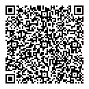 QR код "Solo"