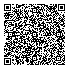 QR код "Вулкан"