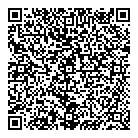 QR код "Созвездие"