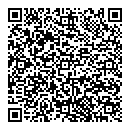 QR код "Реверс"