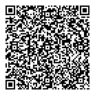 QR код "DNS"