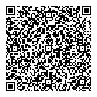 QR код "Vega"