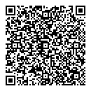 QR код "Пикассо"