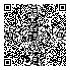 QR код "SOLO"