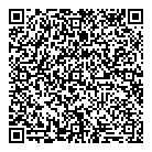 QR код "ДНС"