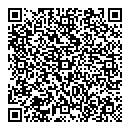 QR код "ДжоNбизоN"