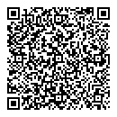 QR код "Telepay"