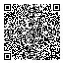 QR код "220 v"