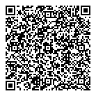 QR код "Скарабей"