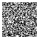 QR код "Вэлс"