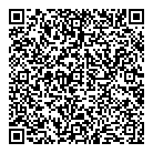 QR код "ДНС"