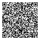 QR код "Eleven"